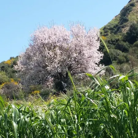 Apokryfo, One Bedroom Close To The * Pissouri