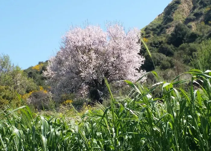 Apokryfo, One Bedroom Close To The * Pissouri